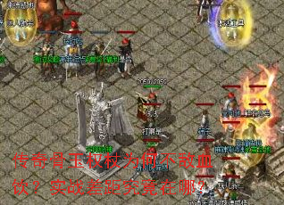 �������Ȩ��Ϊ�β���Ѫ����ʵս��྿�����ģ�