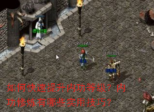 如何快速提升内功等级?内功修炼有哪些实用技巧? 如何快速提升内功等级?内功修炼有哪些实用技巧?