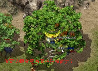 ���淨ʦ��������Щ����������