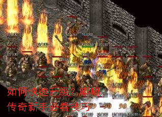 ��ο����������ུ������ֱؿ�����