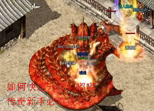 ��ο����������ུ������ֱؿ�����