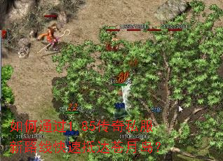 ���ͨ��1.85����˽����·�߿��ٵִ���µ���