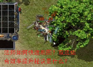 法师如何快速刷图?双法组合效率提升秘诀是什么? 法师如何快速刷图?双法组合效率提升秘诀是什么?