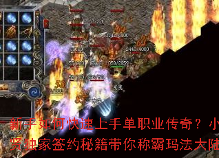 ������ο������ֵ�ְҵ���棿С�Ͷ���ǩԼ�ؼ�����ư��귨��½