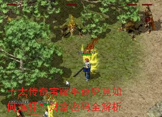 ʮ���汦��ƽ̨�������ѡ�񣿲Ƹ�����ȫ����