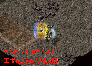 ���ѱ���׻�����Ұ���ߵ��ռ�����ָ��