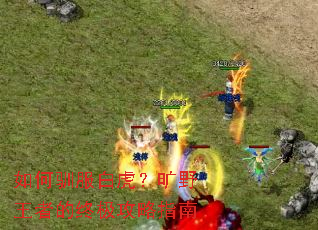 ���ѱ���׻�����Ұ���ߵ��ռ�����ָ��