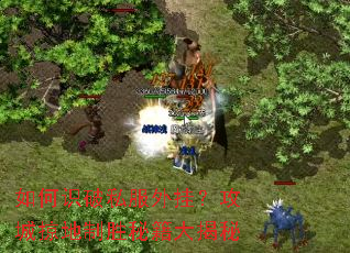 ���ʶ��˽����ң������ӵ���ʤ�ؼ������