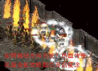 ��ν���Ԫ��ϵͳ����Ѫ����˽��ȫ�¹������㿪����;