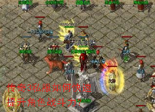 ����3˽����ο���������ɫս������