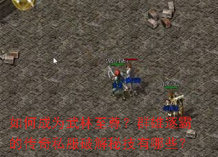 ��γ�Ϊ��������Ⱥ����ԵĴ���˽���ƽ��ؼ�����Щ��