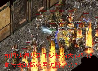 ��ο��ٴ����ֳɳ�Ϊ������Ѫ����80��ؿ����׾��ϣ�