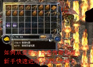 ��δӱ�̬sf�ϻ�����˽�����ֿ��ٽ���Ϊ��������