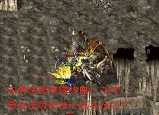 ��ο���������Ѫ1.76����ϻ���ĺ���ս�����ɣ�