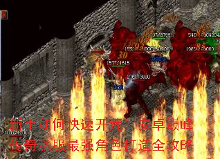 ������ο��ٿ��ģ���׿�۷崫��˽����ǿ��ɫ����ȫ����