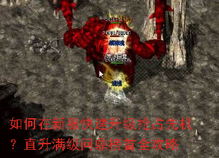 ������·�����������ռ�Ȼ���ֱ�������ʶ�����ȫ����