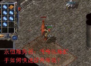 永恒服务器:传奇私服新手如何快速提升等级? 永恒服务器:传奇私服新手如何快速提升等级?