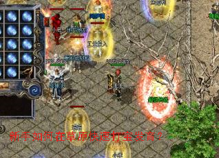 ��������ڲ�ԭ���ٴ򱦷�����