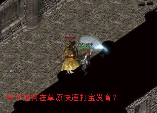 ��������ڲ�ԭ���ٴ򱦷�����