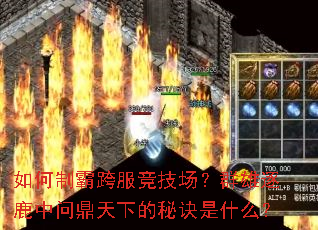 如何制霸跨服竞技场?群雄逐鹿中问鼎天下的秘诀是什么? 如何制霸跨服竞技场?群雄逐鹿中问鼎天下的秘诀是什么?