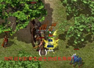 如何规划防御型战士的成长路线? 如何规划防御型战士的成长路线?