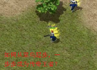 ��δӲ����𲽣�һ������Ϊ�������ߣ�