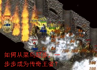 ��δӲ����𲽣�һ������Ϊ�������ߣ�