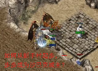 ��δ����ִ��𲽣�һ������Ϊɳ�Ϳ˳�����