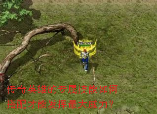 ����Ӣ�۵�ר��������δ�����ܷ������������