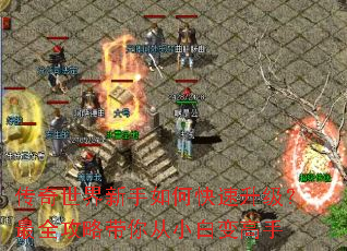 传奇世界新手如何快速升级?最全攻略带你从小白变高手 传奇世界新手如何快速升级?最全攻略带你从小白变高手