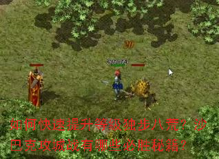 ��ο��������ȼ������˻ģ�ɳ�Ϳ˹���ս����Щ��ʤ�ؼ���