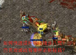 如何快速提升等级独步八荒?沙巴克攻城战有哪些必胜秘籍? 如何快速提升等级独步八荒?沙巴克攻城战有哪些必胜秘籍?