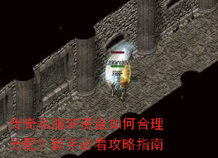 传奇私服SF资金如何合理分配?新手必看攻略指南 传奇私服SF资金如何合理分配?新手必看攻略指南
