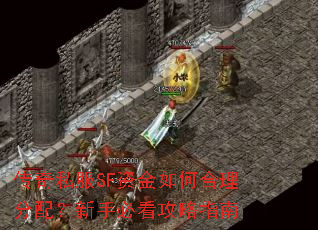 传奇私服SF资金如何合理分配?新手必看攻略指南 传奇私服SF资金如何合理分配?新手必看攻略指南