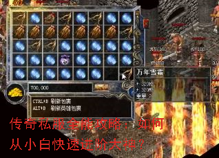 传奇私服全能攻略:如何从小白快速进阶大神? 传奇私服全能攻略:如何从小白快速进阶大神?