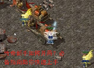 ����������ο��֣��ر�ָ�������������