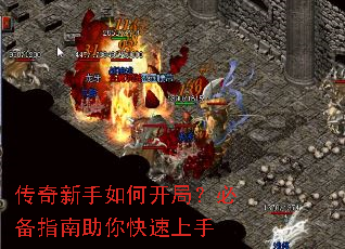 ����������ο��֣��ر�ָ�������������