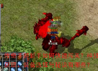 ��������������ο��ٴ��أ��񼼻�ȡ��װ��ѡ�����ؾ�����Щ��