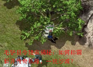 ë¿������ҽ��أ���γư��¿�����˽����һͳɳ�ǣ�