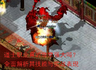 ��ʿְҵ��ķǳ�ǿ����ȫ������似����ʵս����