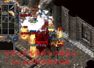 ��δ����ֳɳ�Ϊɳ�ǰ�������������ڳư�ȫ����