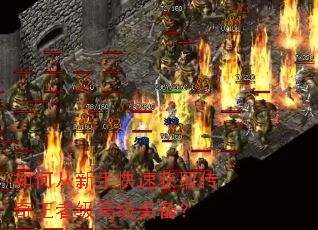 ��δ����ֿ��ٻ�ȡ�������߼��߼�װ����