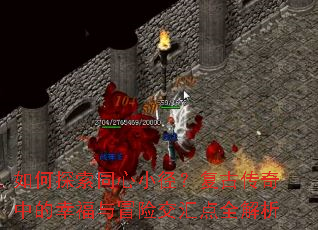 ���̽��ͬ��С�������Ŵ����е��Ҹ���ð�ս����ȫ����