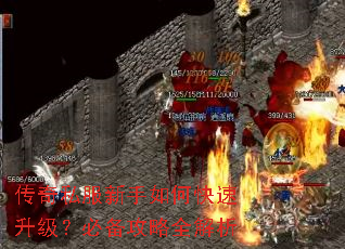 ����˽��������ο����������ر�����ȫ����