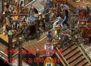 ����˽��������ο����������ر�����ȫ����