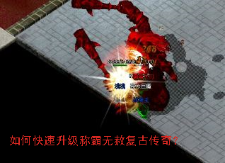 ��ο��������ư����⸴�Ŵ��棿