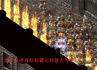 ��ο��������ư����⸴�Ŵ��棿