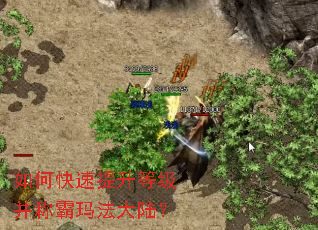 如何快速提升等级并称霸玛法大陆? 如何快速提升等级并称霸玛法大陆?