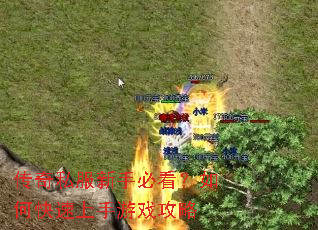 ����˽�����ֱؿ�����ο���������Ϸ����