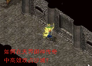 ���������������и�Ч��ռɳ�ǣ�